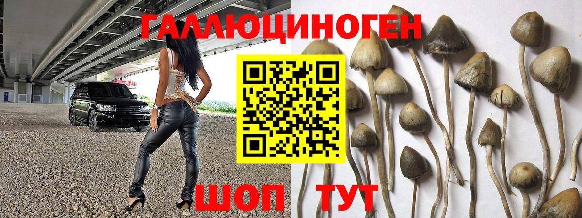 Псилоцибиновые грибы MAGIC MUSHROOMS  Вход с VPN  Галлюциногенные грибы Magic Shrooms  где купить наркоту  Владикавказ 